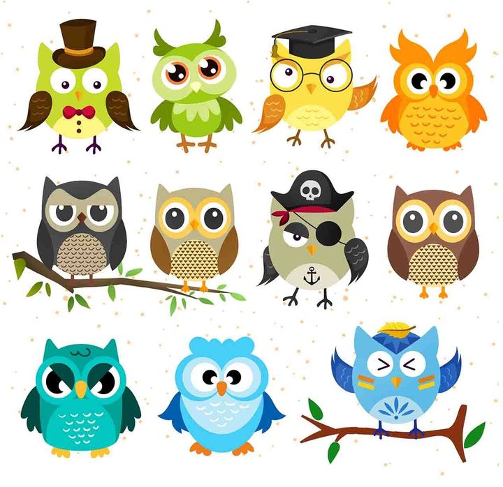 Bird Pattern0051-1
