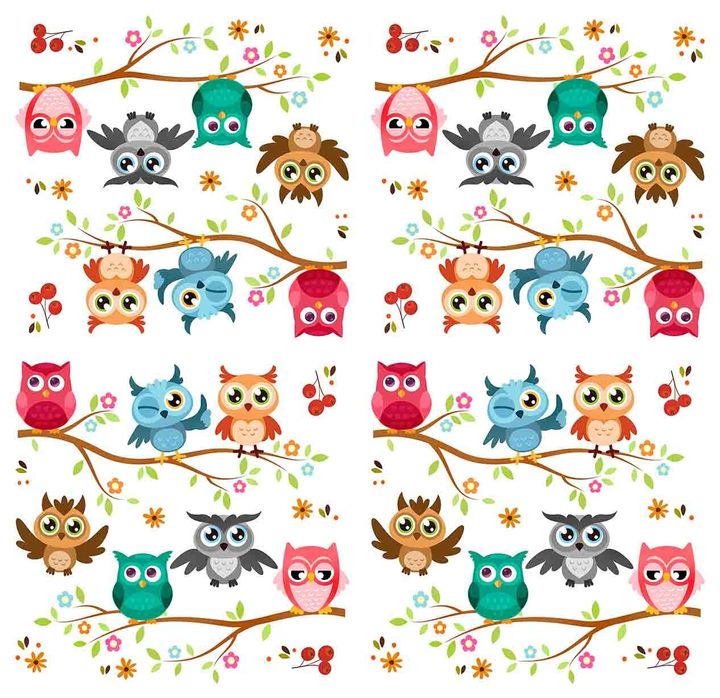 Bird Pattern0052-2