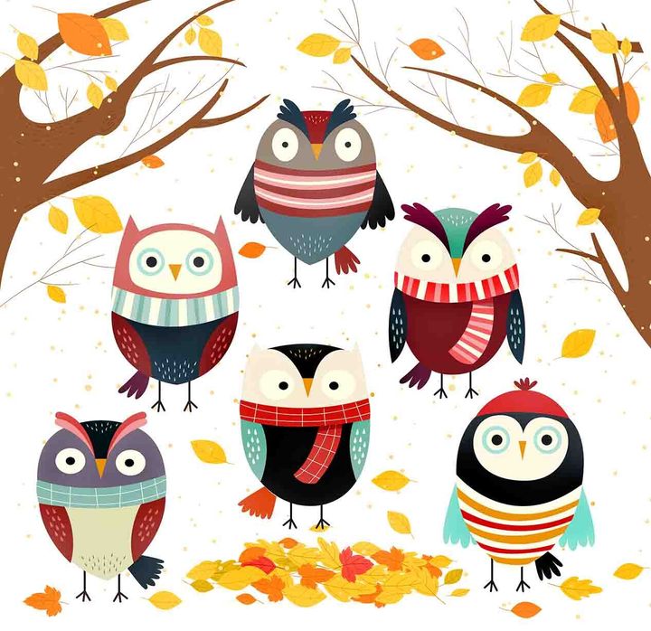 Bird Pattern0053-1