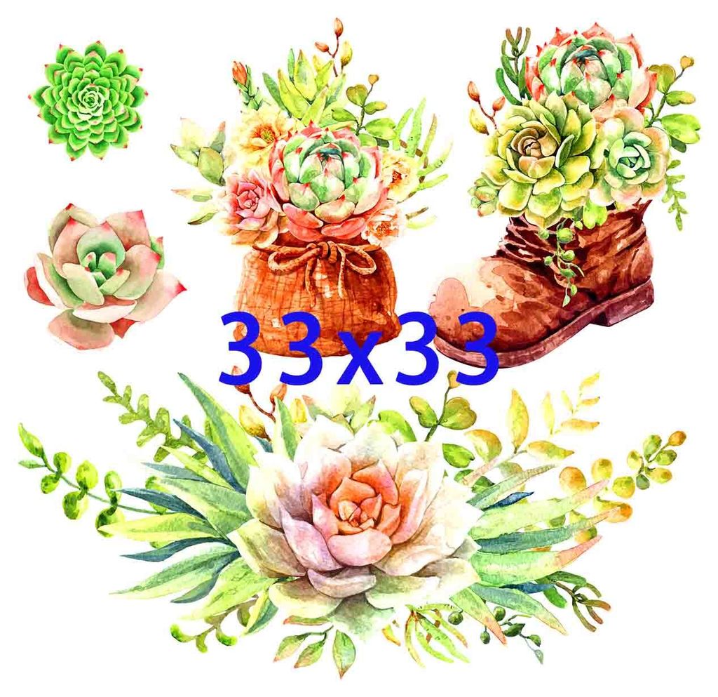 Flowers0047-3