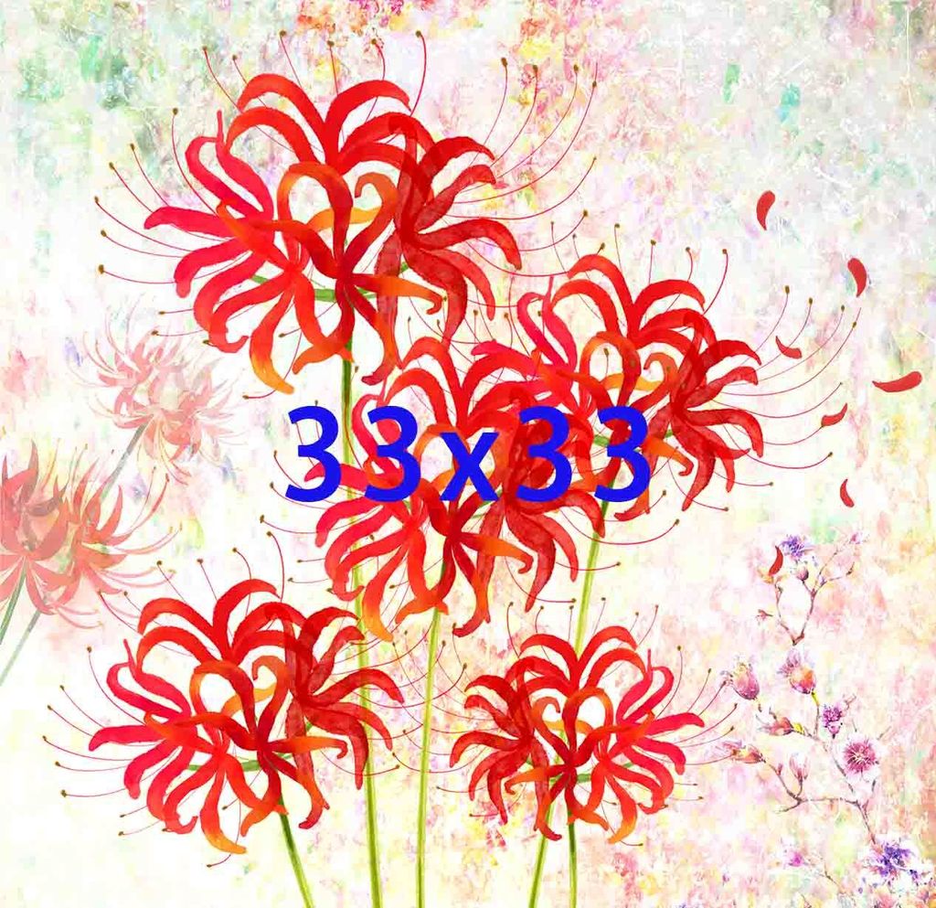 Flowers0081-3