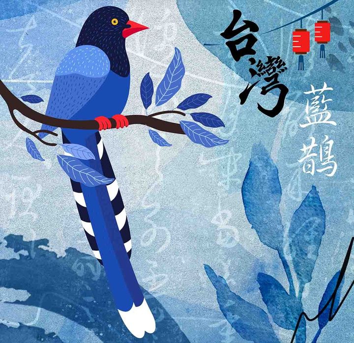 Bird Pattern0057-1