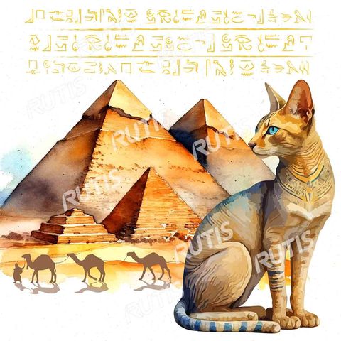EG 埃及0022-1