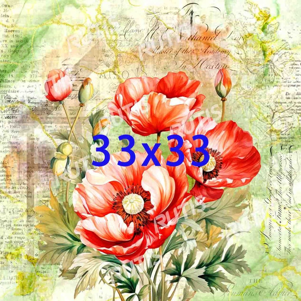 Flowers0108-3 (罌粟)