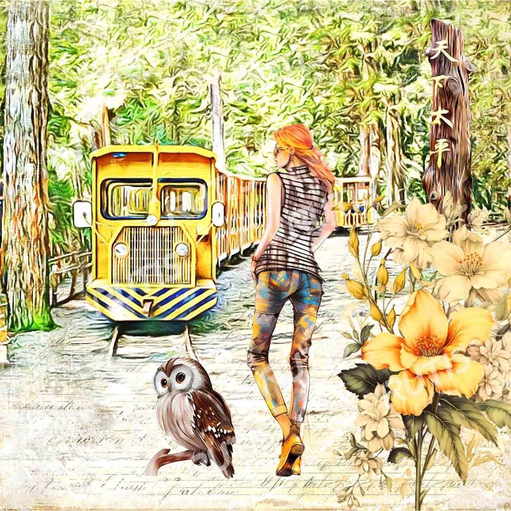 TW 台灣0015-1 (B款)