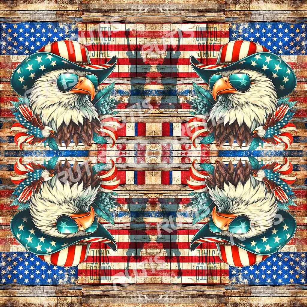USA 美國0004-2