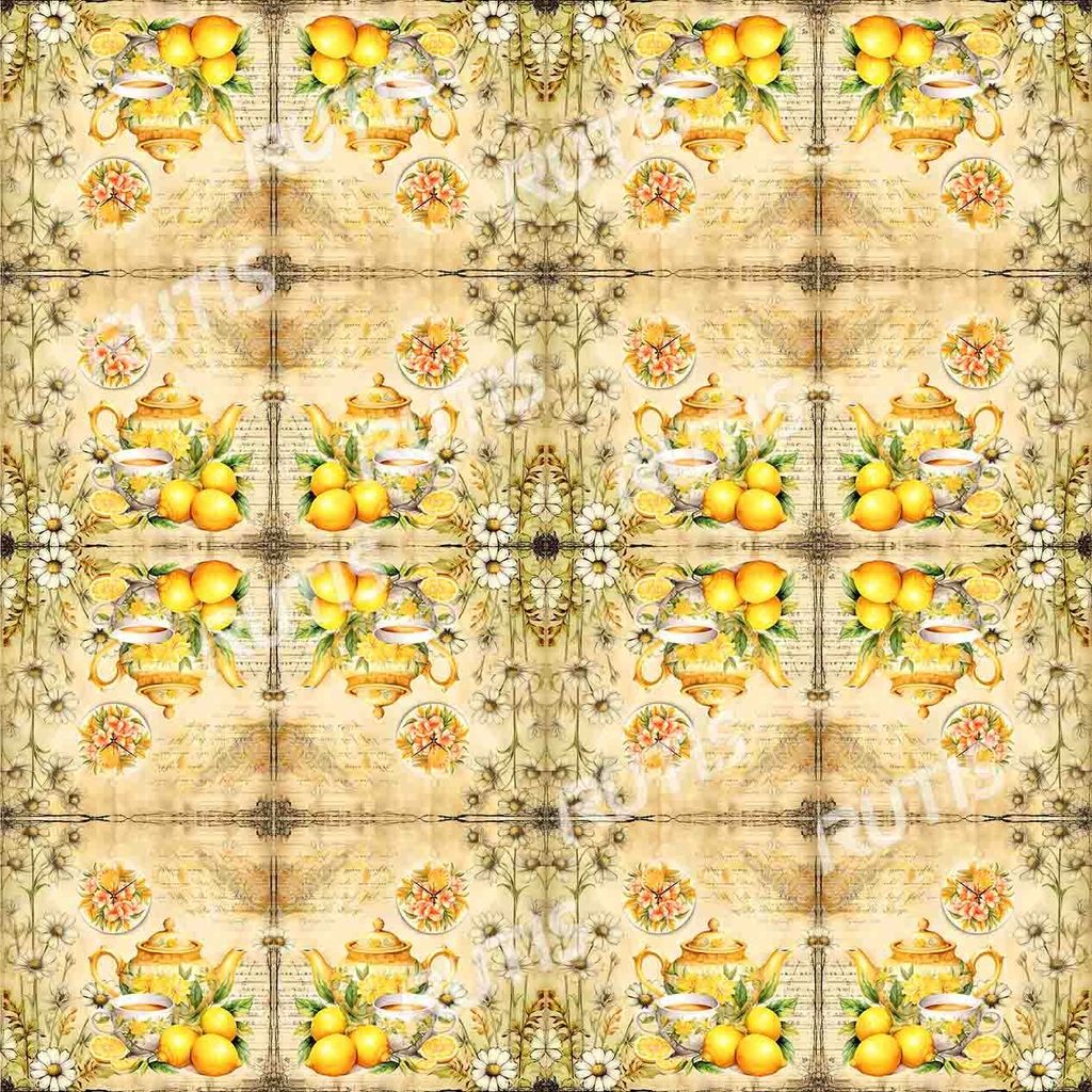 Food 0062-4 (16小格)