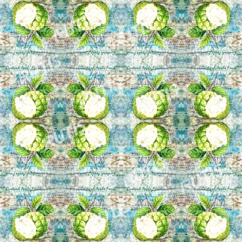 Food 0066-4 (16小格)