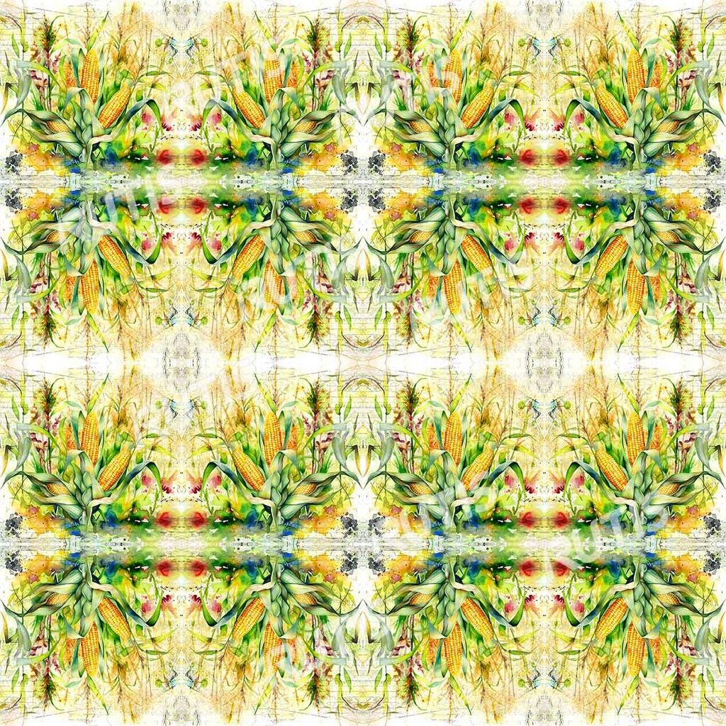 Food 0084-4 (16小格)