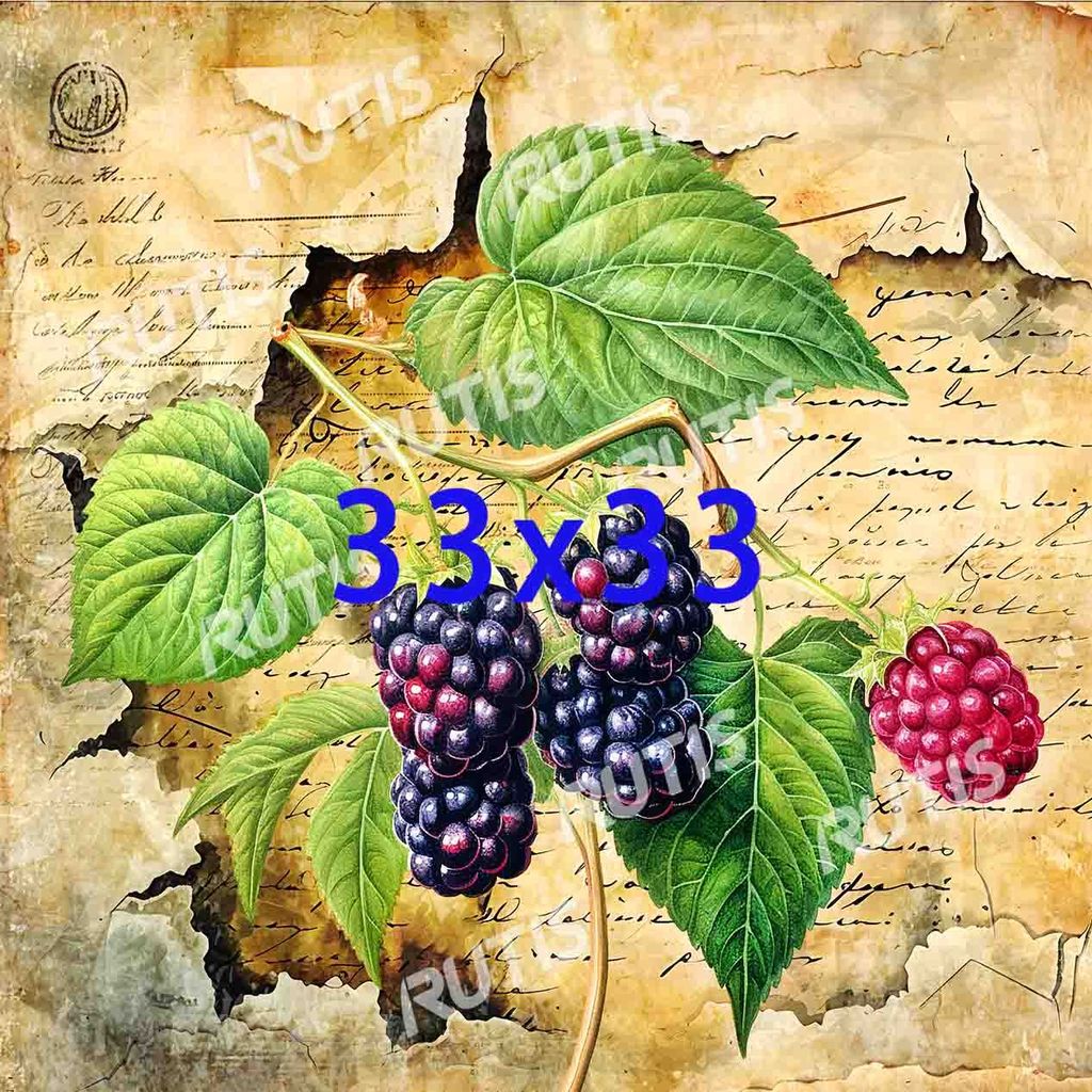 Food 0082 (桑葚)-3