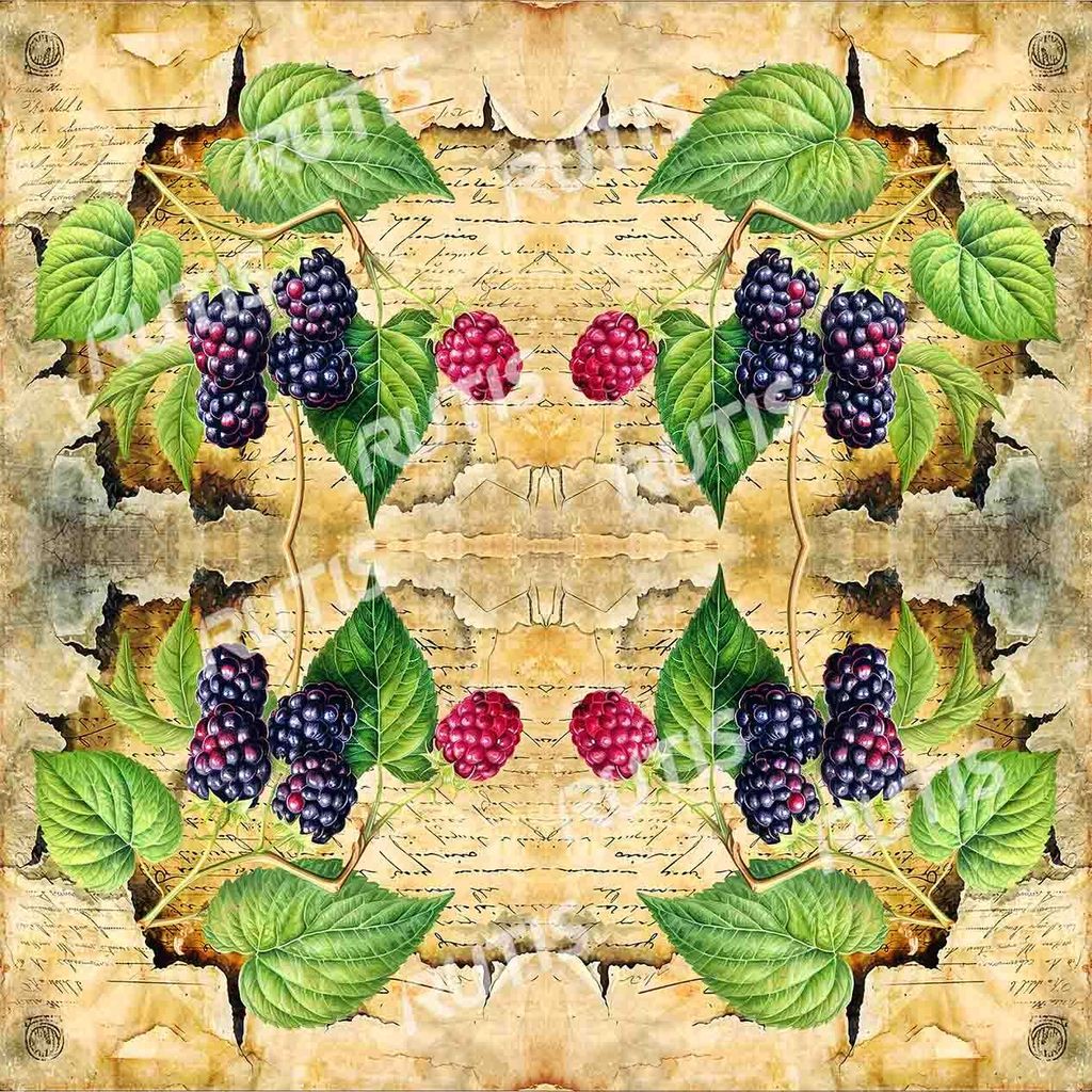 Food 0082 (桑葚)-2