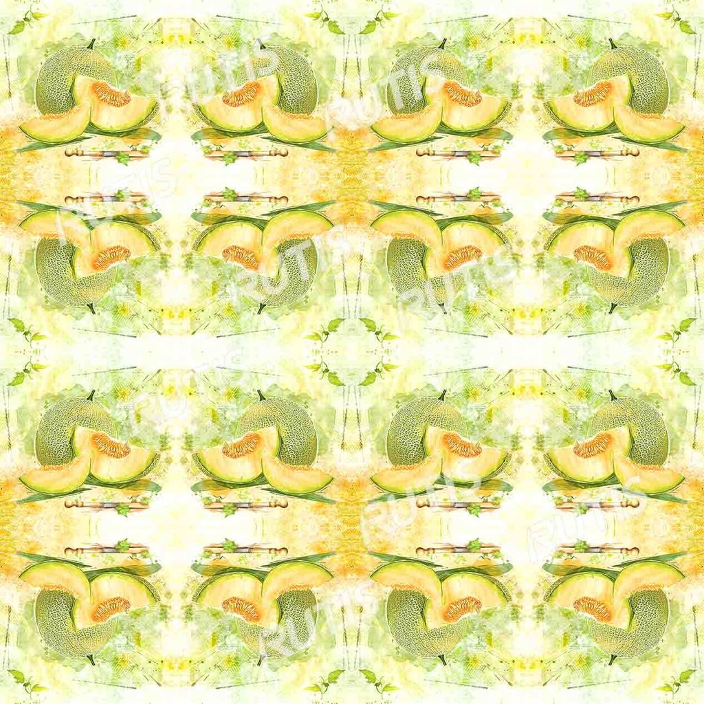 Food 0079-4 (16小格)