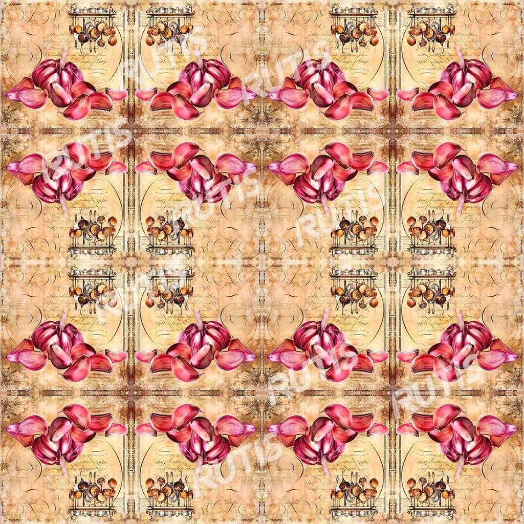 Food 0075-4 (16小格)A款