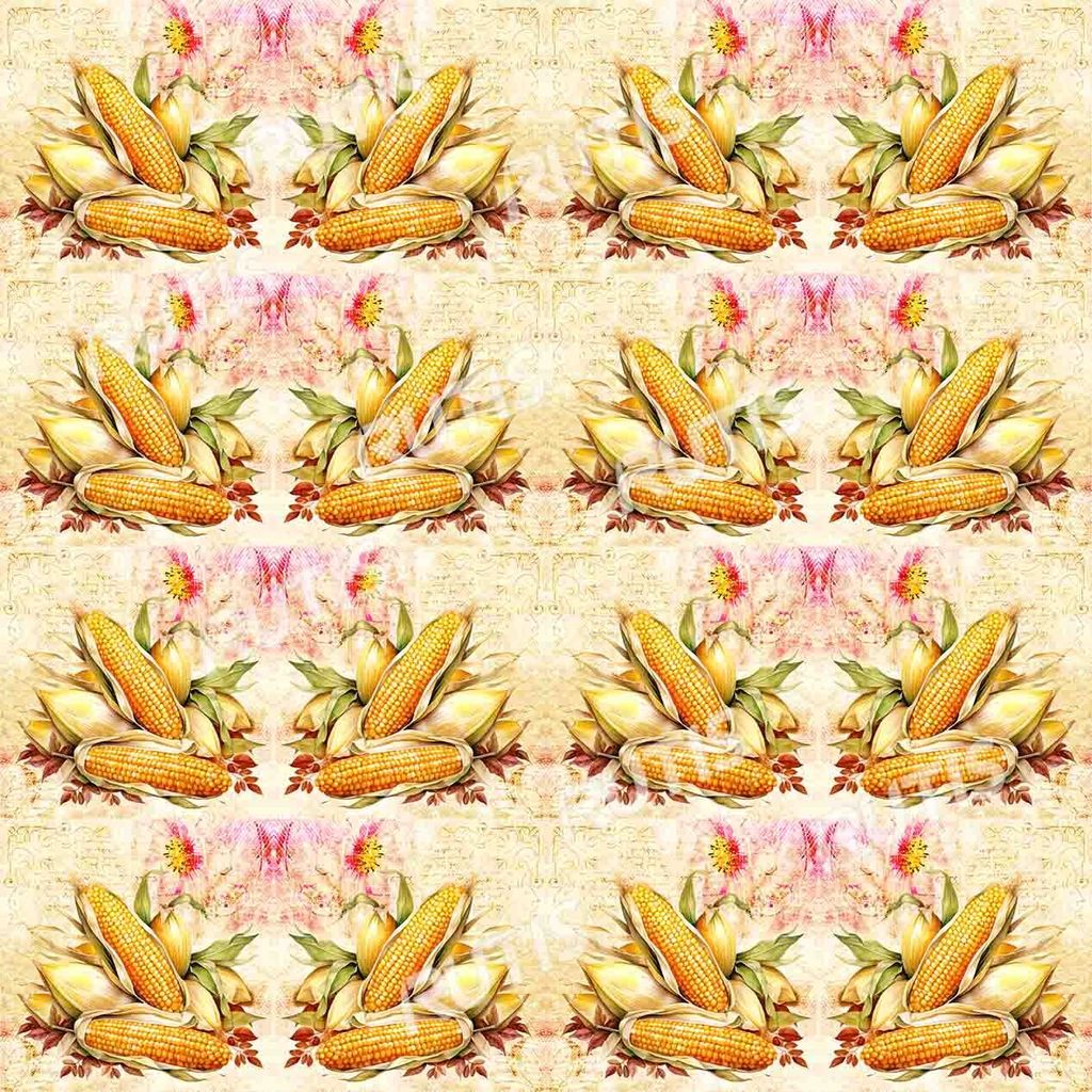 Food 0071-4 (16小格)B款