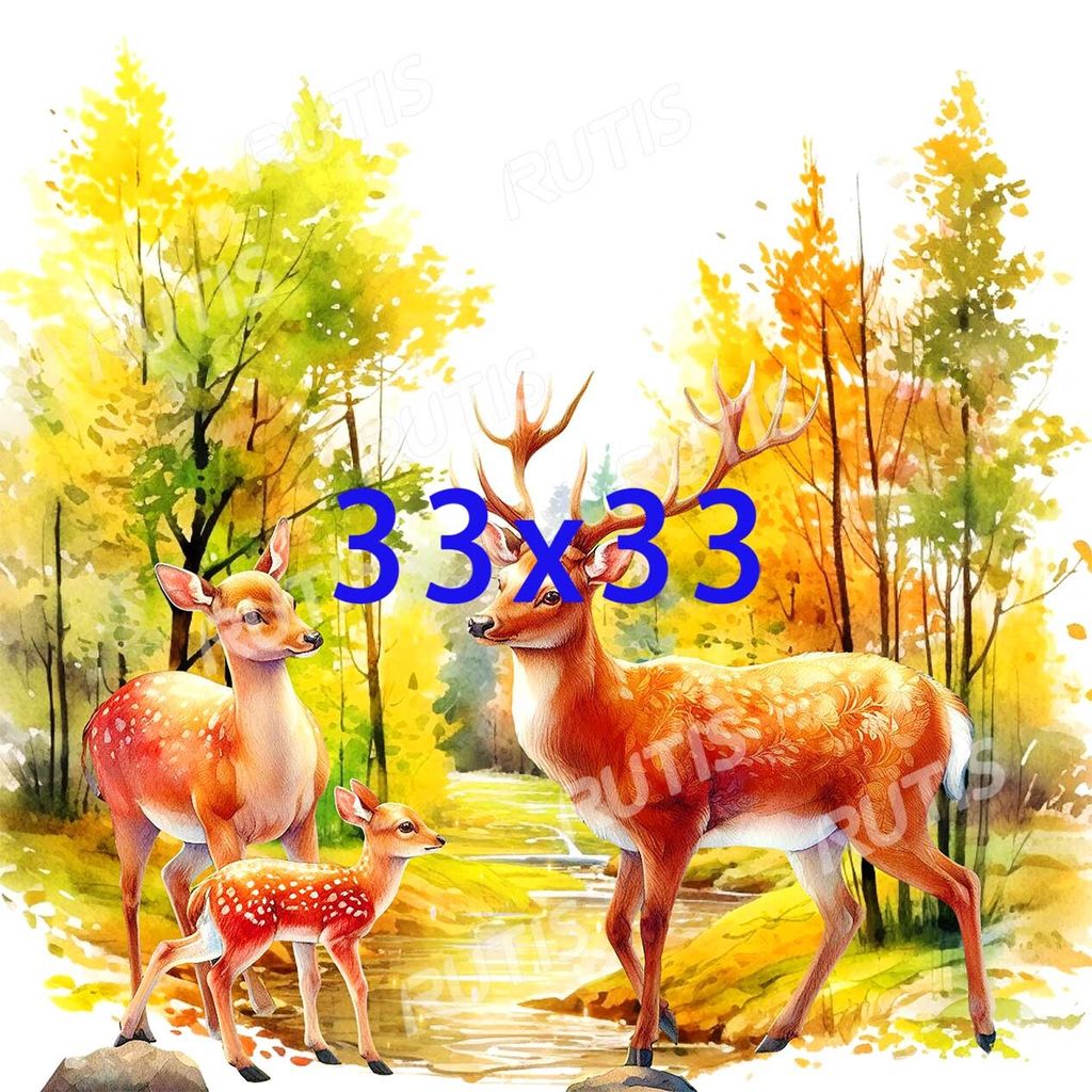 Cute Animal 0246-3