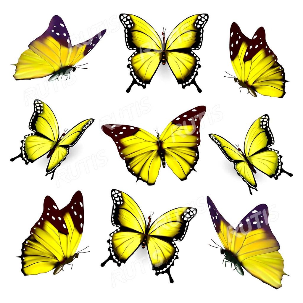 Butterflies Pattern0040-1