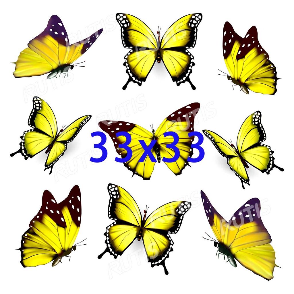 Butterflies Pattern0040-3