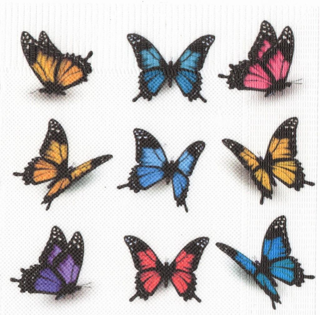 Butterflies 0001-1