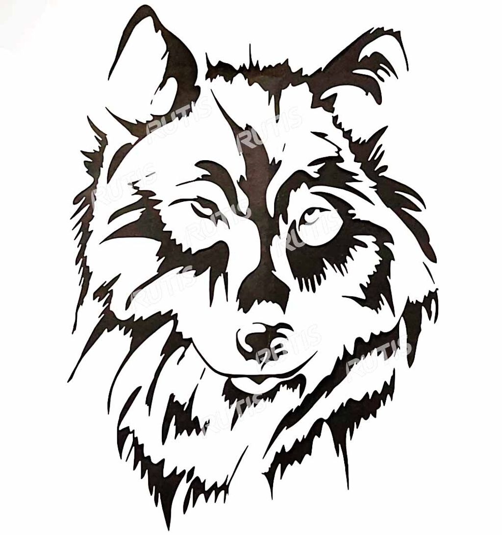 DOT-0019