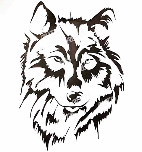 DOT-0019