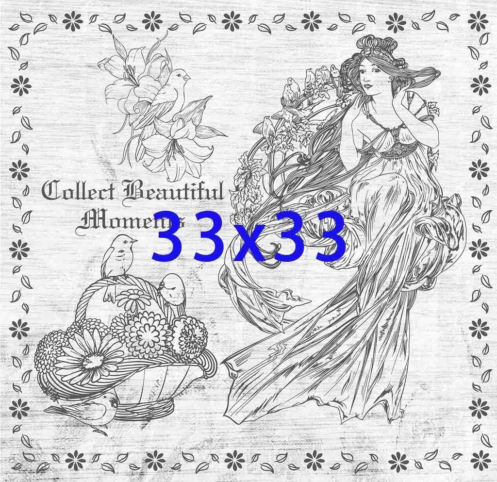 55699251