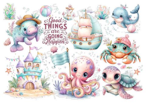 TF-海洋海灘0006-R1_結果