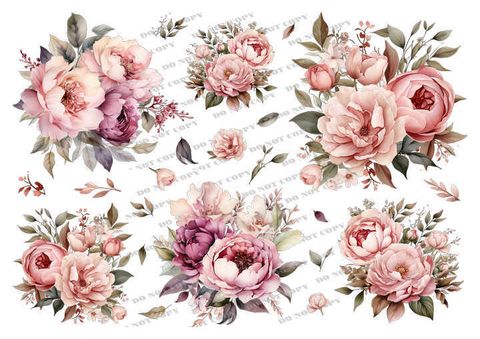 TF-花草0001_結果