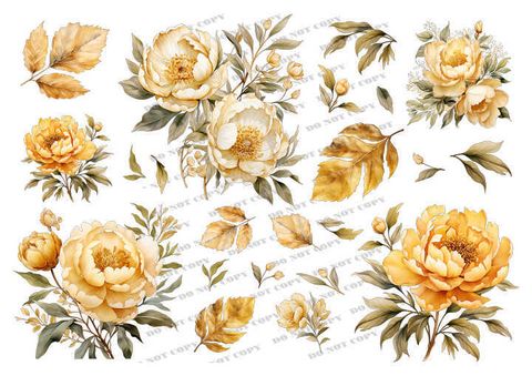 TF-花草0002_結果