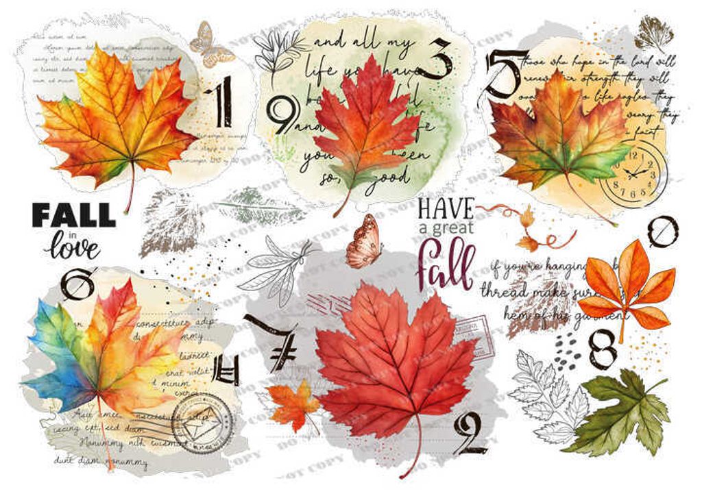 TF-花草0003_結果