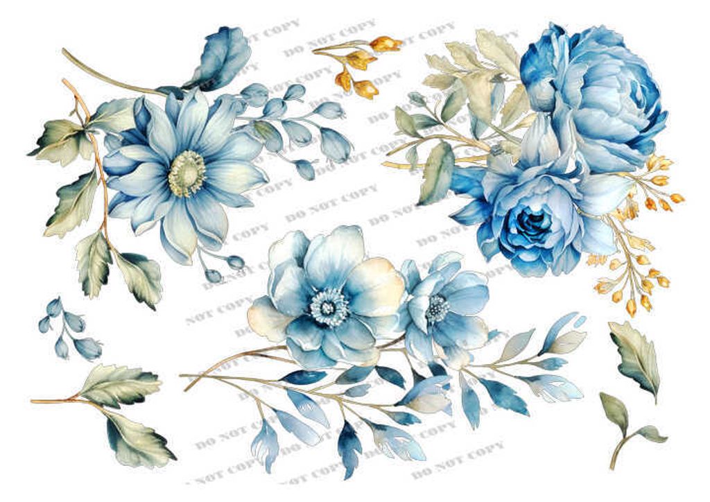 TF-花草0004-1_結果