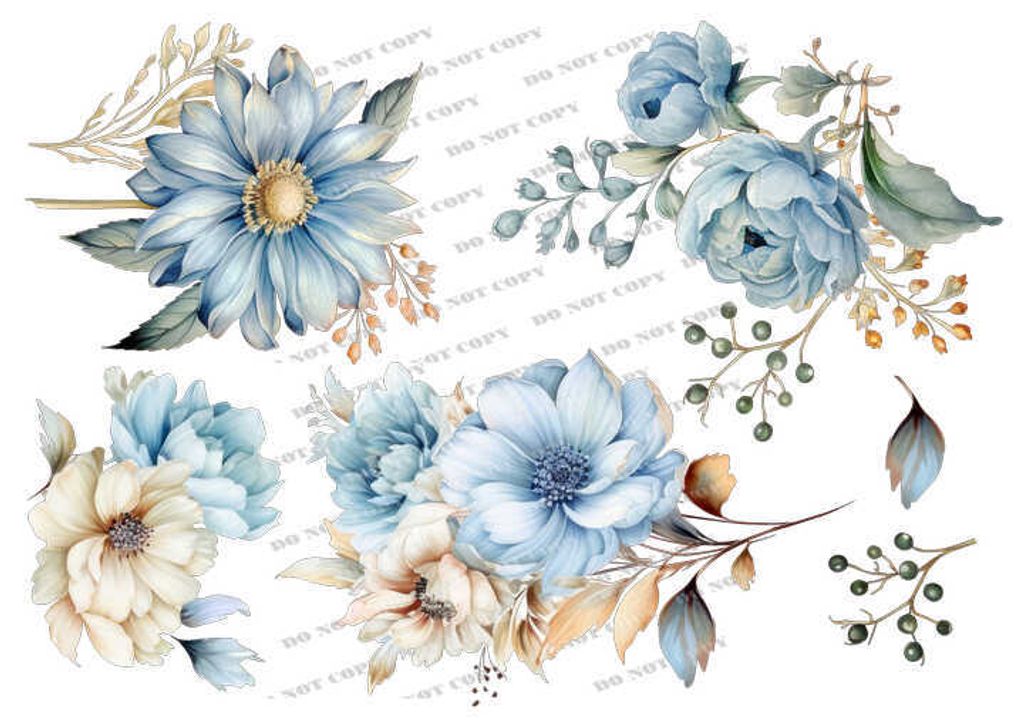 TF-花草0005-1_結果