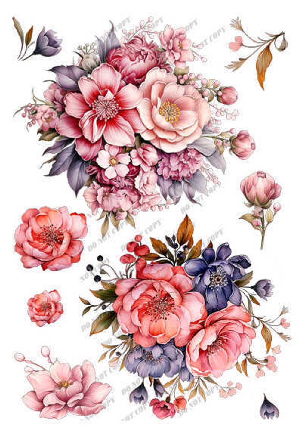 TF-花草0006-1_結果