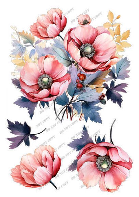 TF-花草0007-1_結果