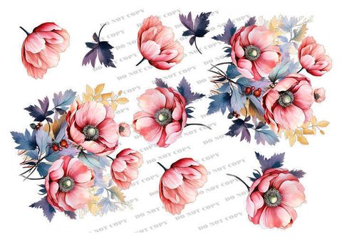 TF-花草0007-2_結果