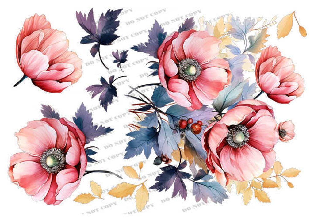 TF-花草0007-3_結果