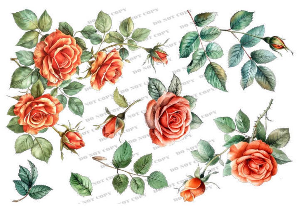 TF-花草0009_結果