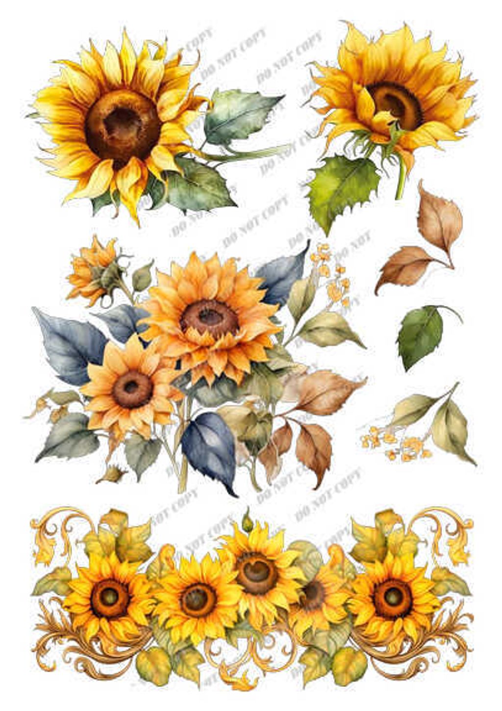 TF-花草0010_結果