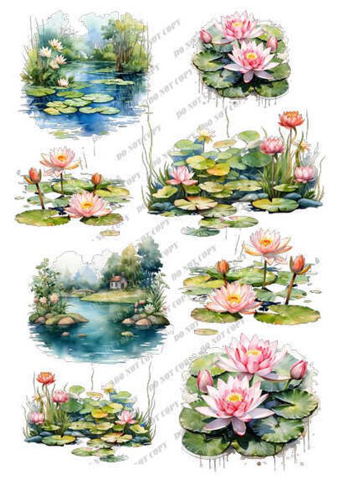 TF-花草0013_結果