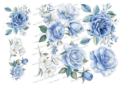 TF-花草0014_結果