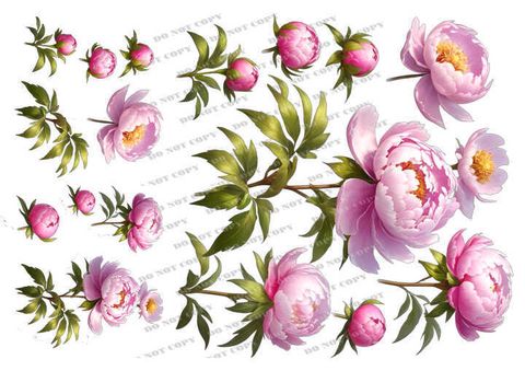 TF-花草0015_結果