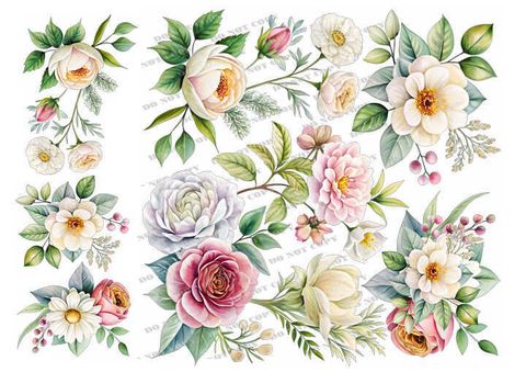 TF-花草0016_結果