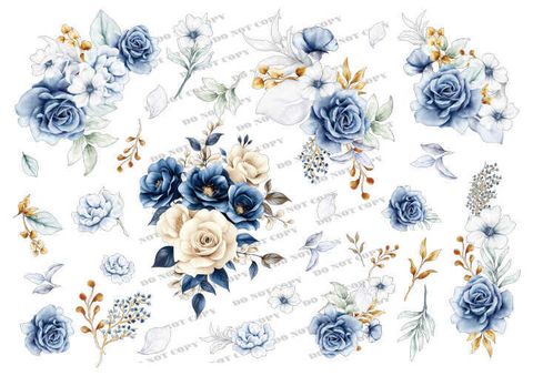 TF-花草0024_結果