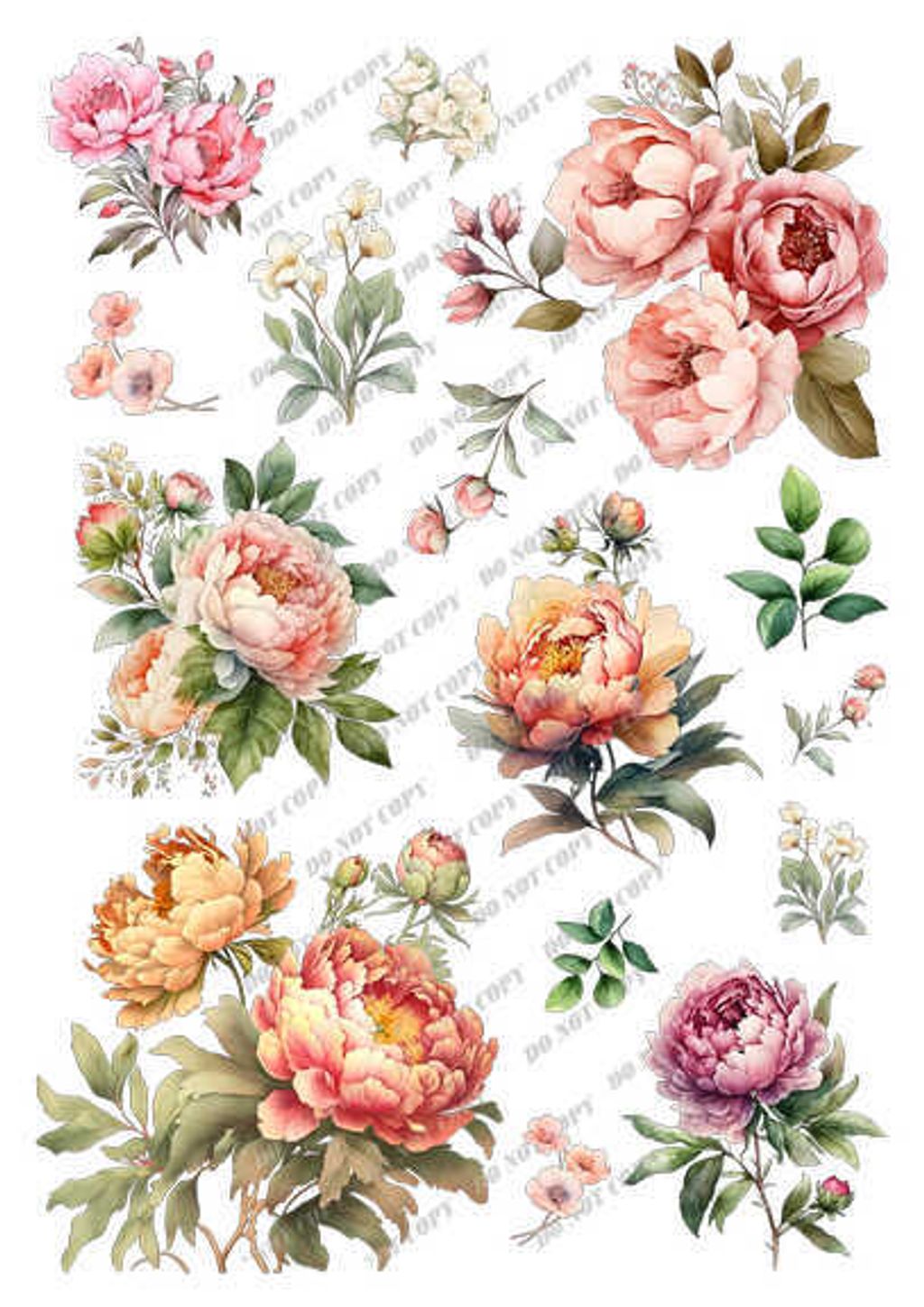 TF-花草0027_結果