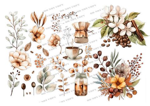 TF-花草0028_結果