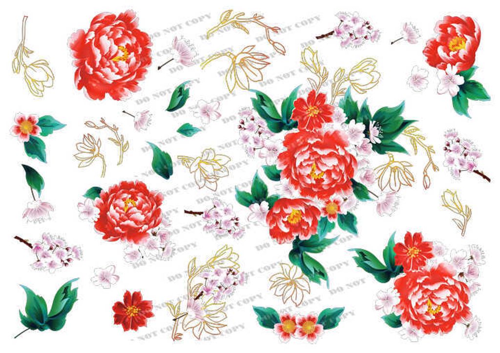 TF-花草0032_結果