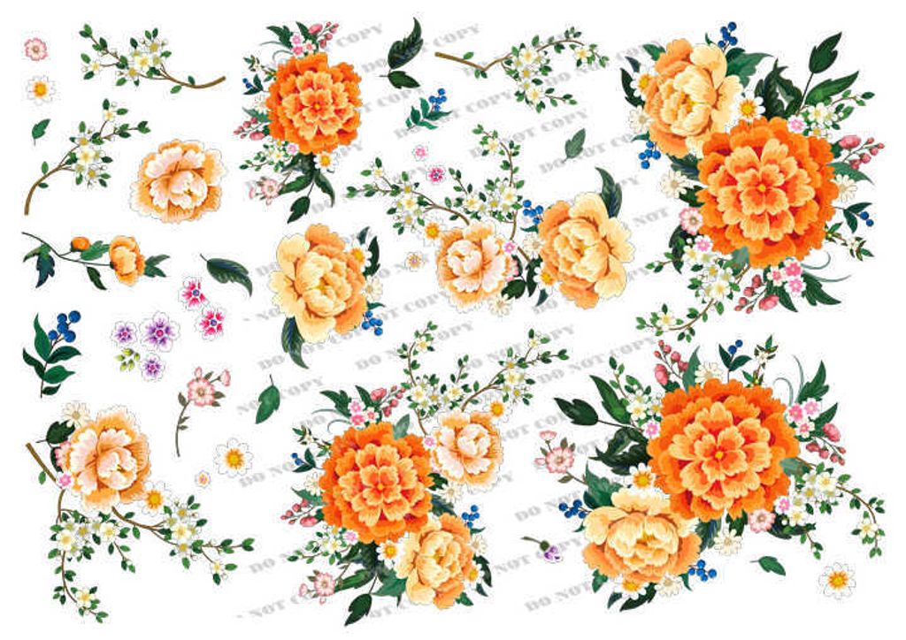 TF-花草0033_結果