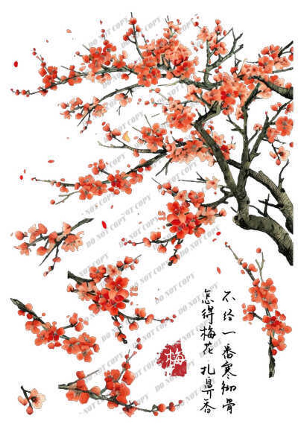 TF-花草0034_結果