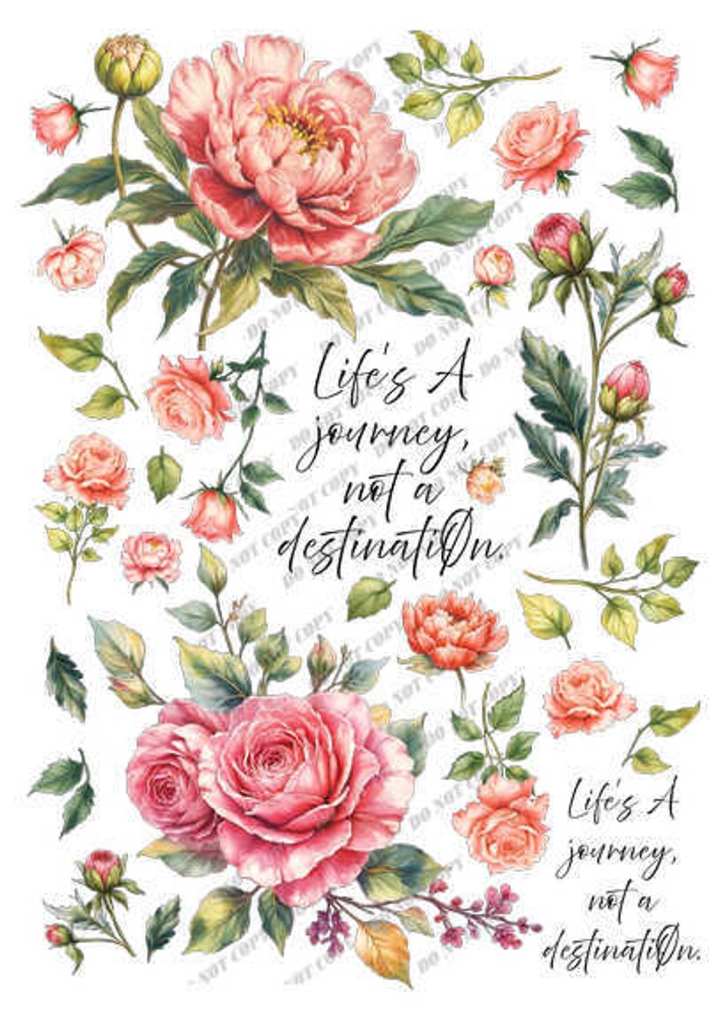 TF-花草0035-1_結果