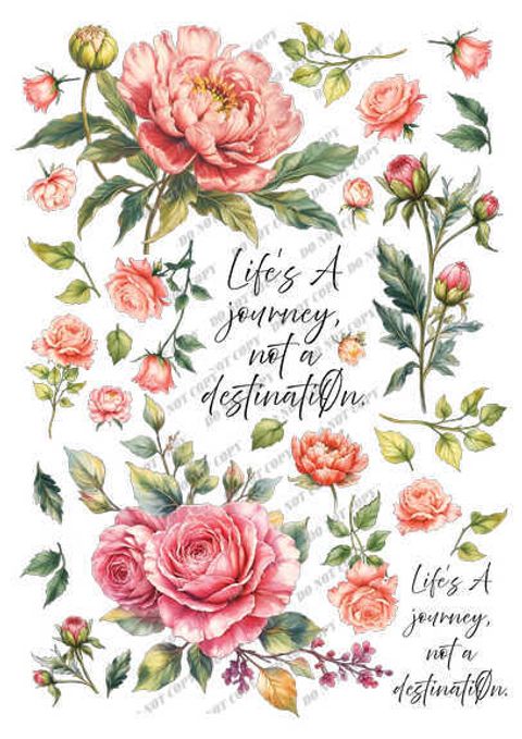 TF-花草0035-1_結果