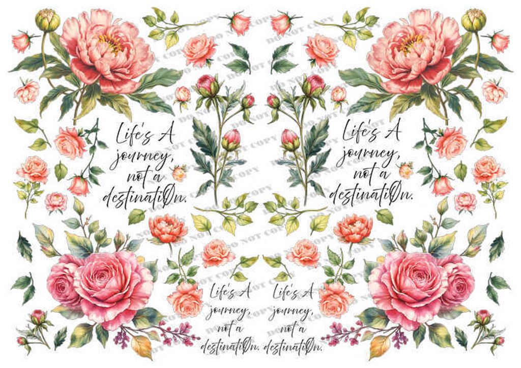 TF-花草0035-2_結果